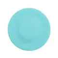 Mini Flying Disc Catching Game