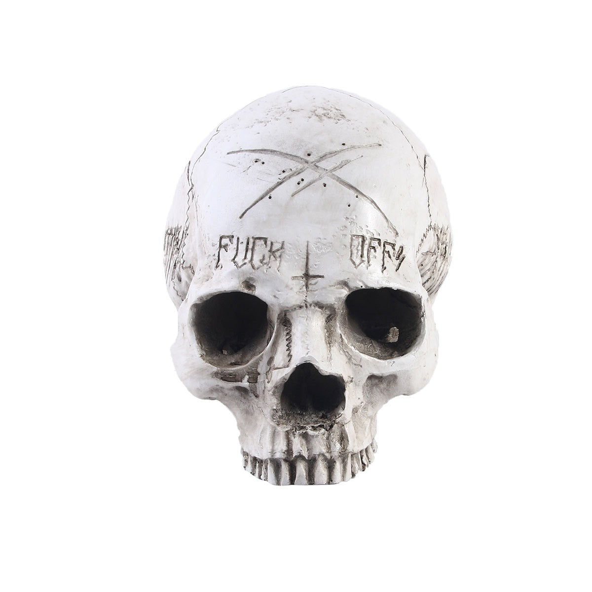 Resin Crafts Skull Head Model Teaching Supplies Skull Head