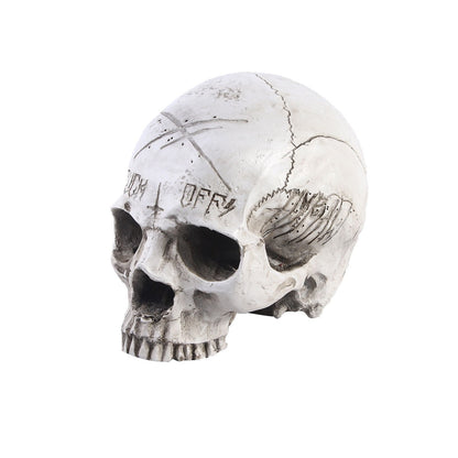 Resin Crafts Skull Head Model Teaching Supplies Skull Head