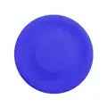 Mini Flying Disc Catching Game