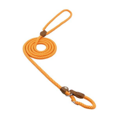 Nylon Pup Set - SkyeDragon Gifts