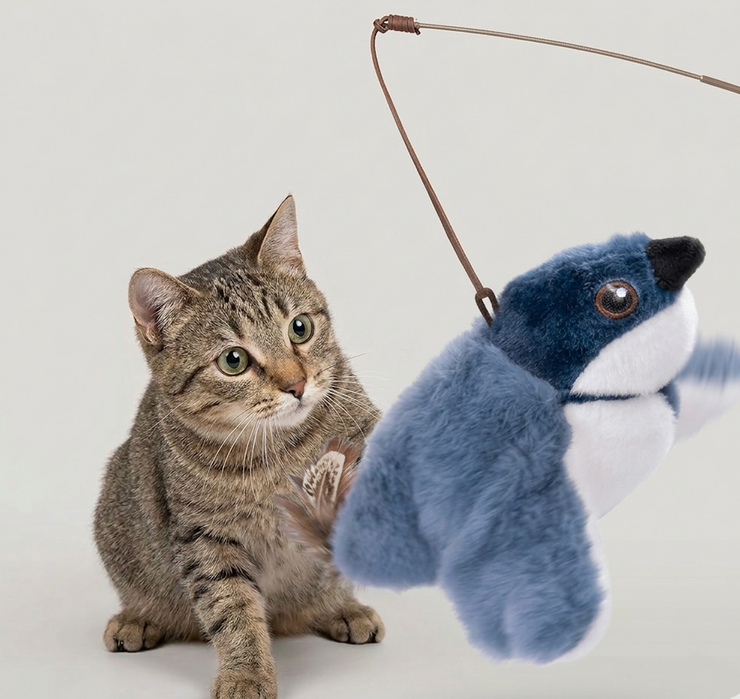 Flapping Bird Cat  Toy - SkyeDragon Gifts